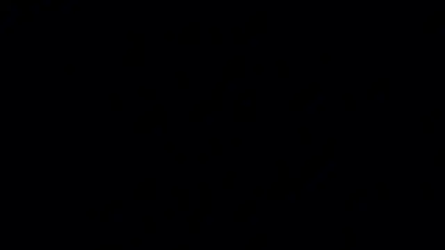 MaganLiebross webcam