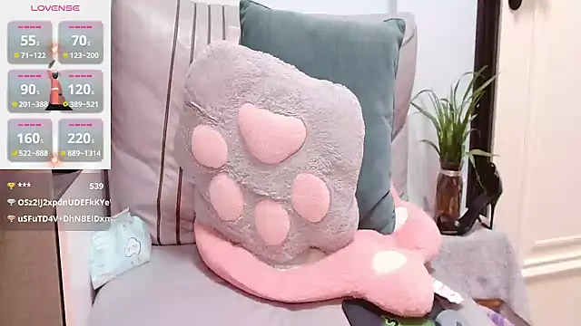 cici-2026 webcam