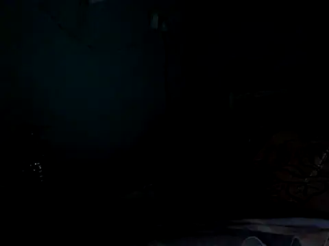 funalu webcam