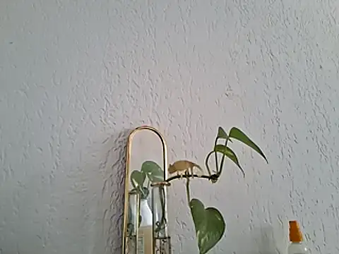 SexMachineMaks webcam