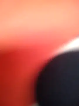 -Tara-a live cam