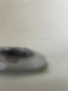 magicdickx21 webcam