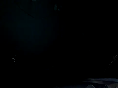 funalu webcam