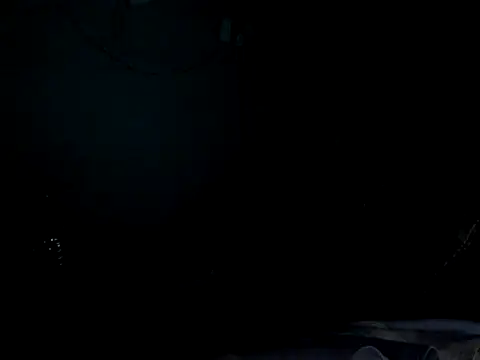 funalu webcam