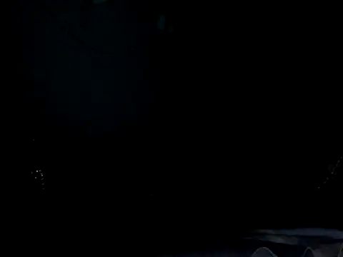 funalu webcam