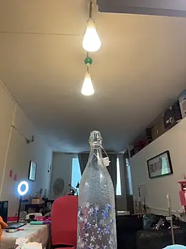 ladyturtle webcam