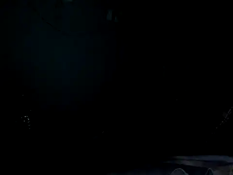 funalu webcam