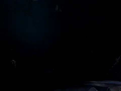 funalu webcam