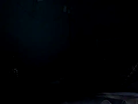 funalu webcam