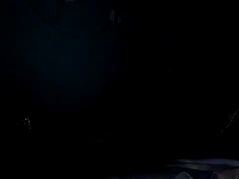 funalu webcam