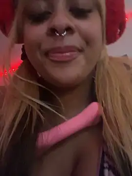 nintendhoe webcam