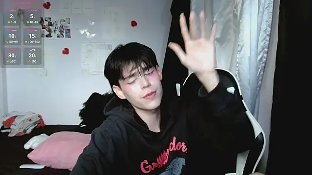 shun_sun webcam