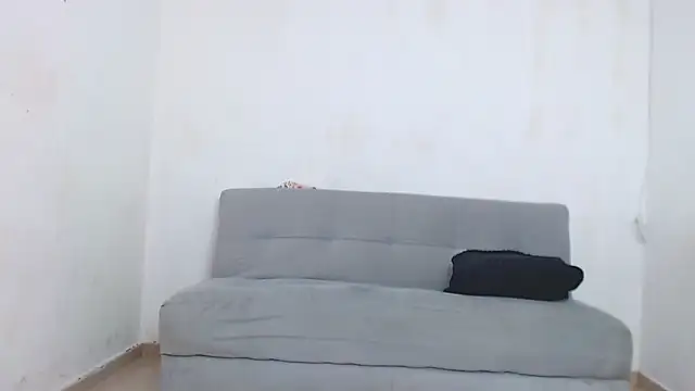 wild-district webcam