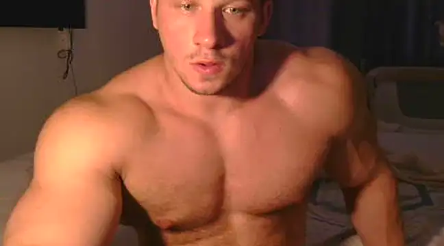 LionEdwin webcam