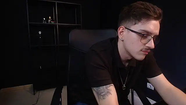 FelixStarkk webcam