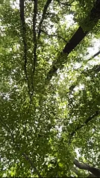 AngelicaPeligrosa webcam