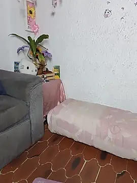 Kuutar webcam