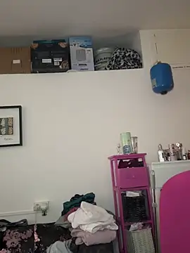 ladyturtle webcam