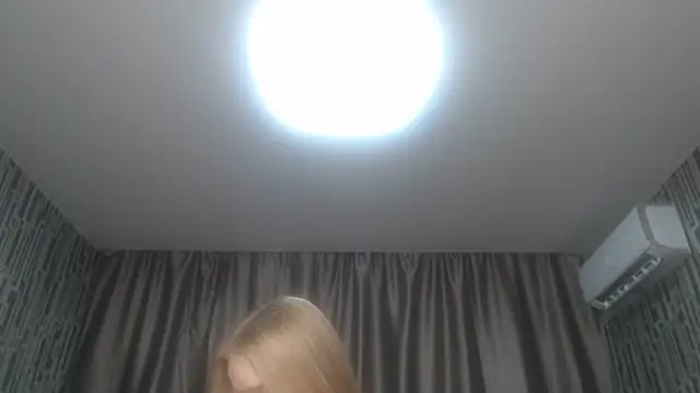 scyrim2 webcam