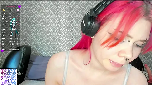 Veldenga webcam