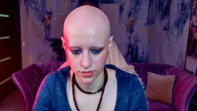 LidaDarknet webcam