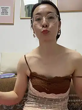 you-520 webcam