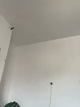 Honeybeespecial webcam