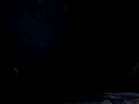 funalu webcam