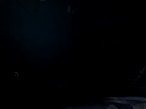 funalu webcam