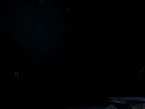 funalu webcam