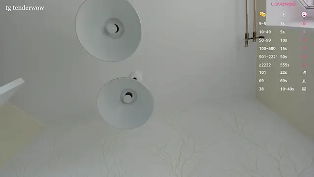 Tenderalise webcam
