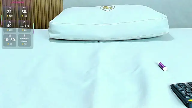 ammy_shell webcam