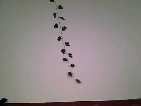 suzan_melly webcam