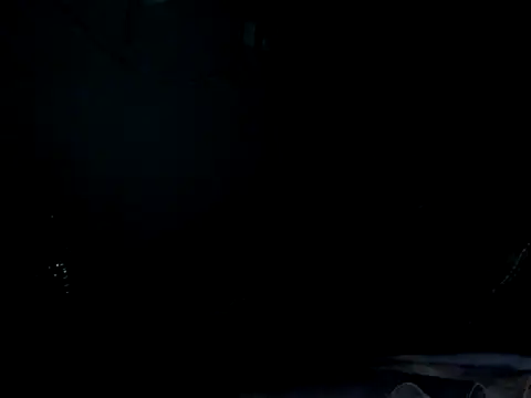 funalu webcam