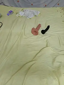 Saso-4 webcam
