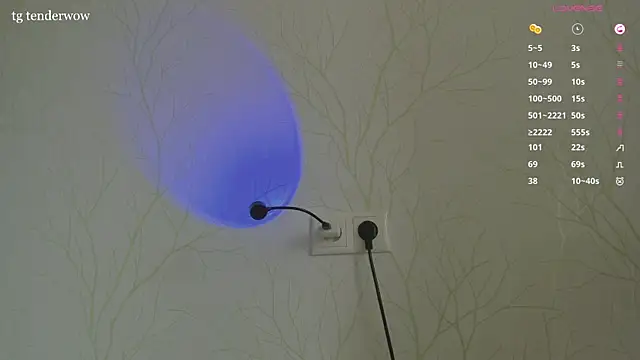 Tenderalise webcam