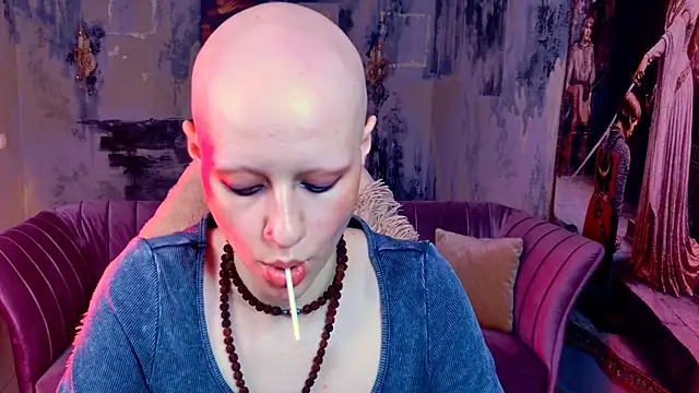 LidaDarknet webcam