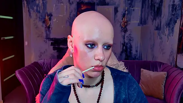 LidaDarknet webcam