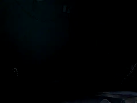 funalu webcam