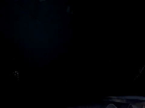 funalu webcam