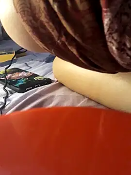 -Tara-a webcam