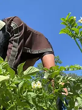 MilffantasyX live cam
