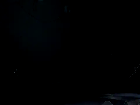 funalu webcam