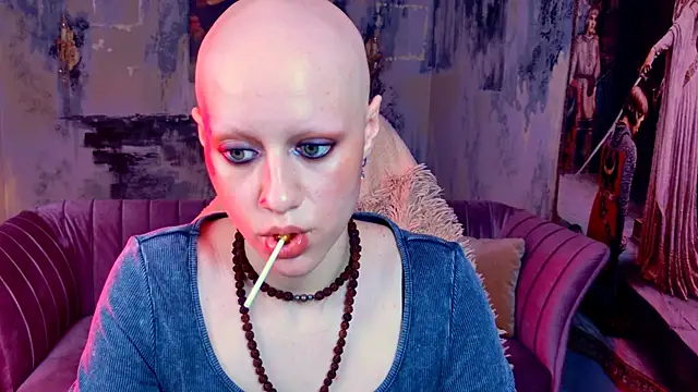 LidaDarknet webcam