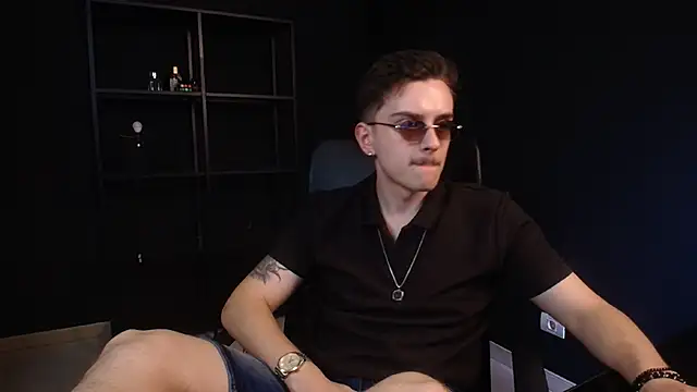 FelixStarkk webcam