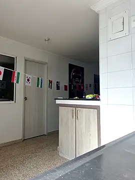 karla-bruni webcam