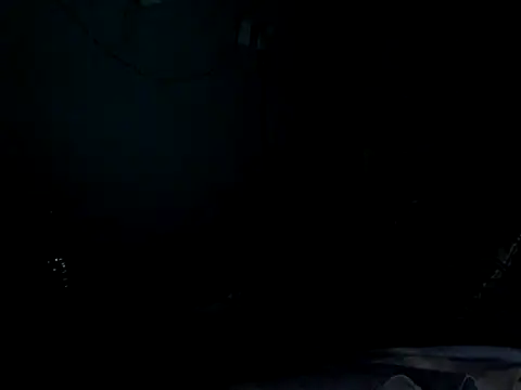 funalu webcam