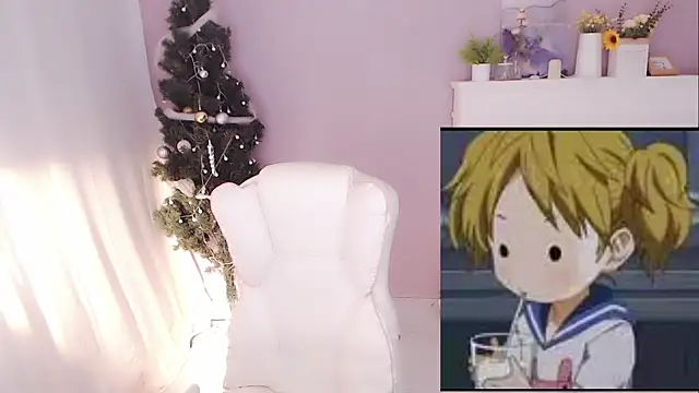 hall-33 webcam
