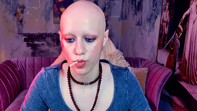 LidaDarknet webcam