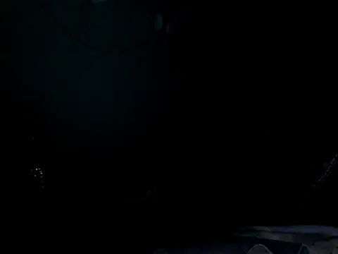 funalu webcam